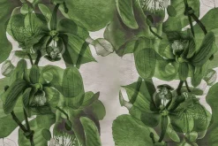 Fototapeta: Malowane przestrzenne orchidee na ścianie