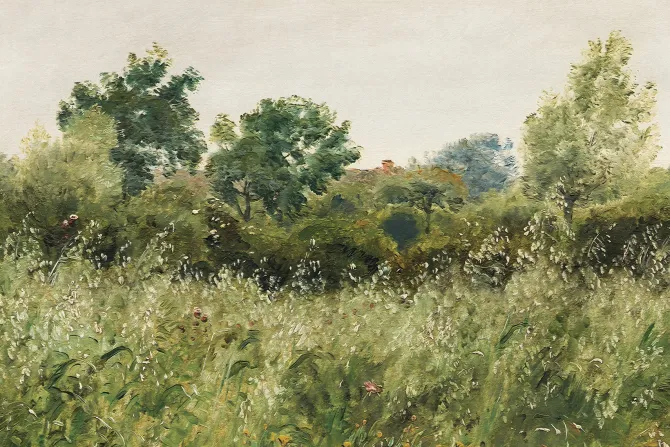 Fototapeta: Malowany leśny wzór z drzewami i trawami