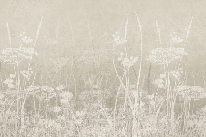 Fototapeta: Malowany wzór pola na jasnym tle