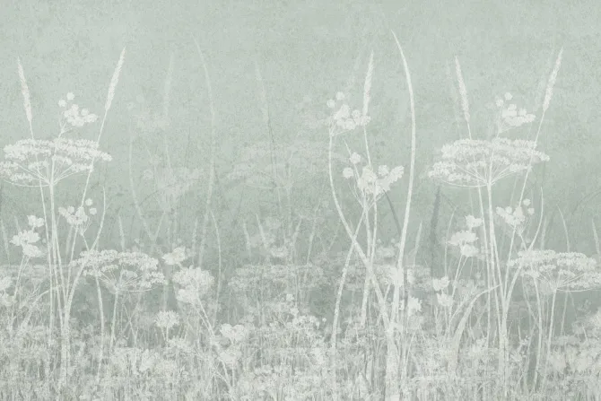 Fototapeta: Malowany wzór pola na jasnym tle