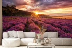 Fototapeta: Malowniczy krajobraz z lawendą o zachodzie słońca