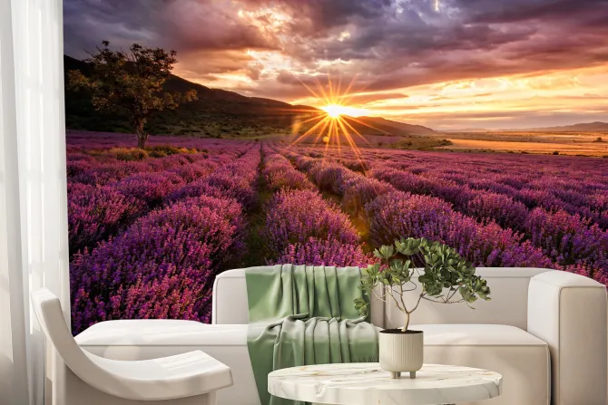 Fototapeta: Malowniczy krajobraz z lawendą o zachodzie słońca
