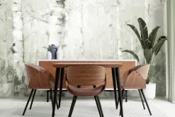 Fototapeta: Malowniczy krajobraz lasu brzozowego