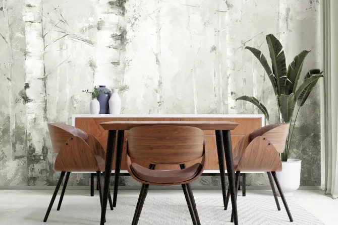 Fototapeta: Malowniczy krajobraz lasu brzozowego