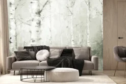 Fototapeta: Malowniczy krajobraz lasu brzozowego