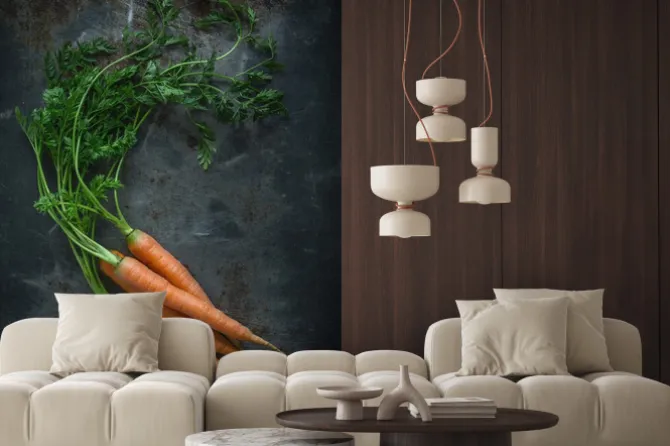 Fototapeta: Marchew na talerzu