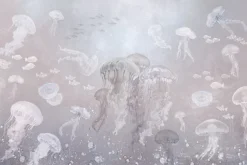 Fototapeta: Meduzy i ryby w podwodnym krajobrazie