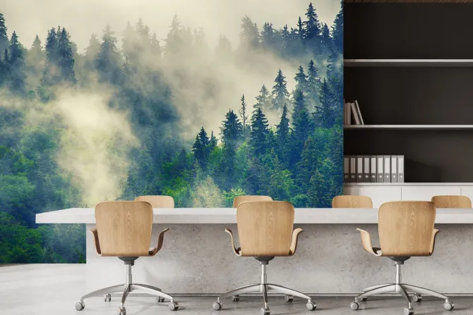 Fototapeta: Mglisty górski las iglasty krajobraz