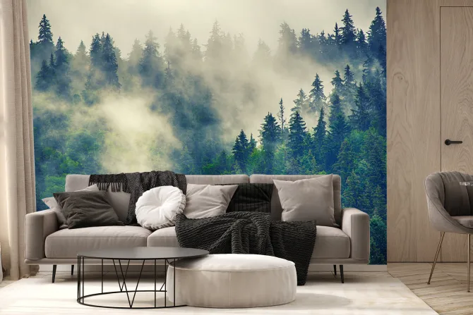 Fototapeta: Mglisty górski las iglasty krajobraz