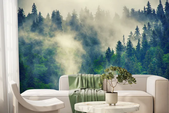 Fototapeta: Mglisty górski las iglasty krajobraz