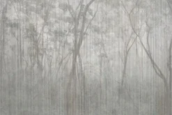 Fototapeta: Mglisty krajobraz drzew w parku
