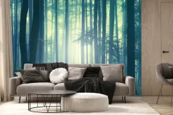 Fototapeta: Mglisty krajobraz las o poranku