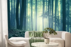 Fototapeta: Mglisty krajobraz las o poranku