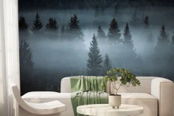 Fototapeta: Mglisty krajobraz las iglasty