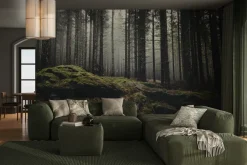Fototapeta: Mglisty las sosnowy