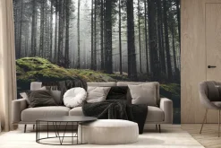 Fototapeta: Mglisty las sosnowy