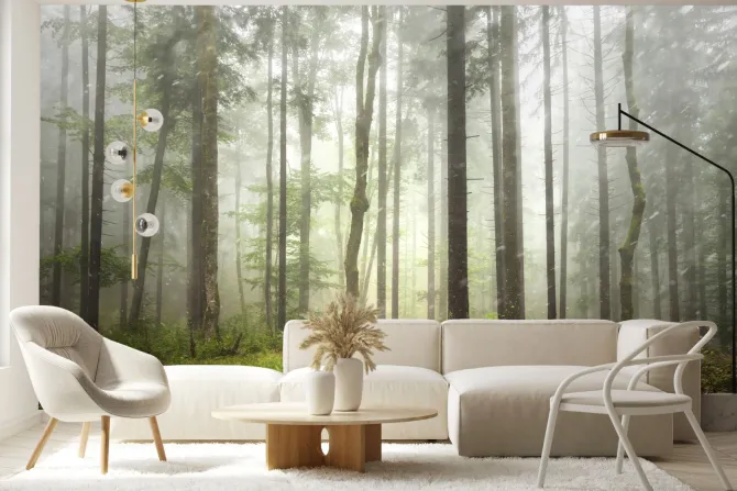 Fototapeta: Mglisty las w deszczowym krajobrazie