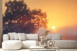 Fototapeta: Mglisty poranek przy zachodzie słońca