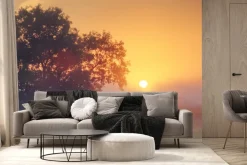 Fototapeta: Mglisty poranek przy zachodzie słońca