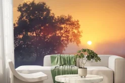 Fototapeta: Mglisty poranek przy zachodzie słońca