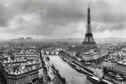 Fototapeta: Miejski krajobraz paryża z rzeką i wieżą eiffla