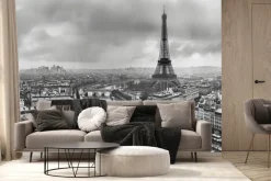 Fototapeta: Miejski krajobraz paryża z rzeką i wieżą eiffla