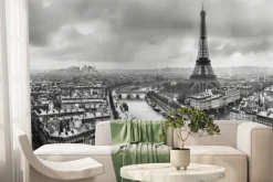 Fototapeta: Miejski krajobraz paryża z rzeką i wieżą eiffla