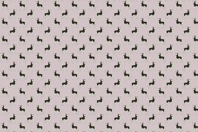 Fototapeta: Minimalistyczny wzór w czarno białe psy