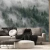 Fototapeta: Misty forest in south tyrol, italy