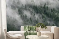 Fototapeta: Misty forest in south tyrol, italy