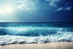 Fototapeta: Morski piaszczysty brzeg w słoneczny dzień