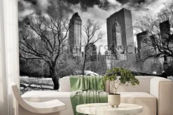 Fototapeta: Most gapstow w central parku zimą