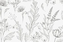 Fototapeta: Motyle i dzikie rośliny w minimalistycznym stylu naturalny wzór