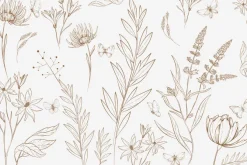 Fototapeta: Motyle i dzikie rośliny w minimalistycznym stylu naturalny wzór