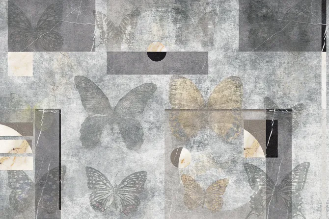Fototapeta: Motyle i figury geometryczne na betonowym tle abstrakcyjny motyw
