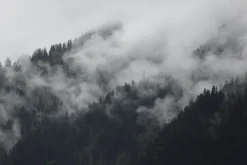 Fototapeta: Mroczne mgły nad alpejskim górskim lasem