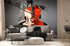 Fototapeta: Muzyk grający na wiolonczeli