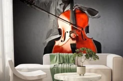 Fototapeta: Muzyk grający na wiolonczeli