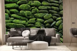 Fototapeta: Naturalne kamienie z zielonym mchem