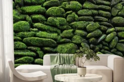 Fototapeta: Naturalne kamienie z zielonym mchem