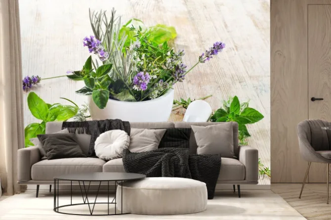 Fototapeta: Naturalne świeże zioła bazylia i lawenda