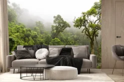 Fototapeta: Naturalny las w magoebaskloof