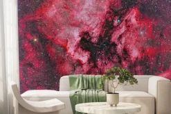 Fototapeta: Ngc 7000 mgławica ameryka północna sfotografowana przez teleskop