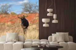 Fototapeta: Niebieski gnu antylopy