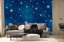 Fototapeta: Nocne niebo pełne migoczących gwiazd