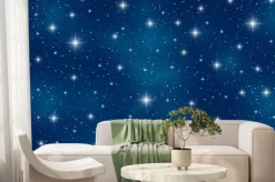 Fototapeta: Nocne niebo pełne migoczących gwiazd