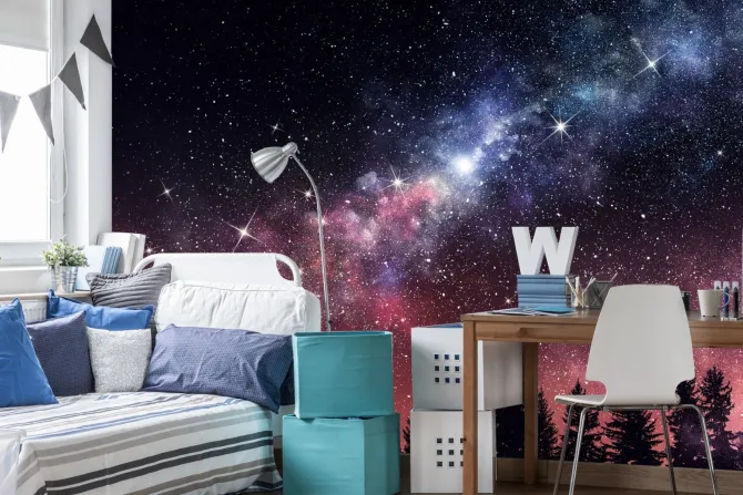 Fototapeta: Nocny krajobraz z lasem i gwiazdami