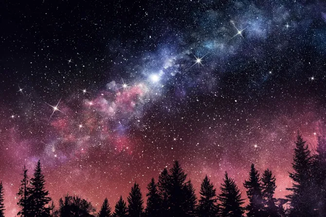 Fototapeta: Nocny krajobraz z lasem i gwiazdami