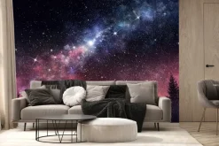 Fototapeta: Nocny krajobraz z lasem i gwiazdami