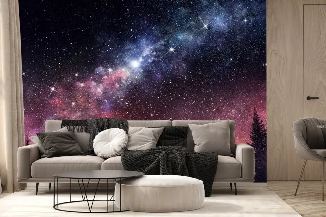 Fototapeta: Nocny krajobraz z lasem i gwiazdami